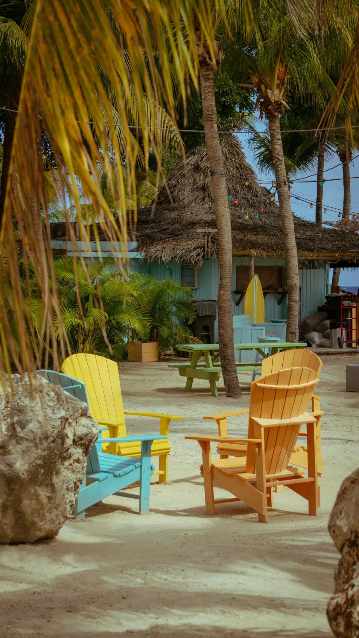 Tropical beach resort with colorful chairs and palm trees