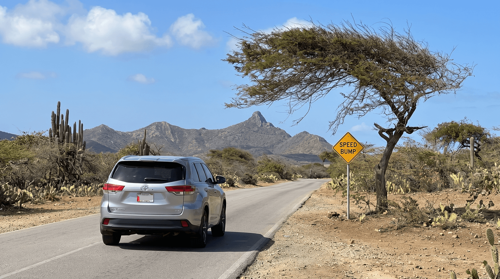 Silver midsize SUV driving along a quiet rural road in western Curaçao lined with cacti