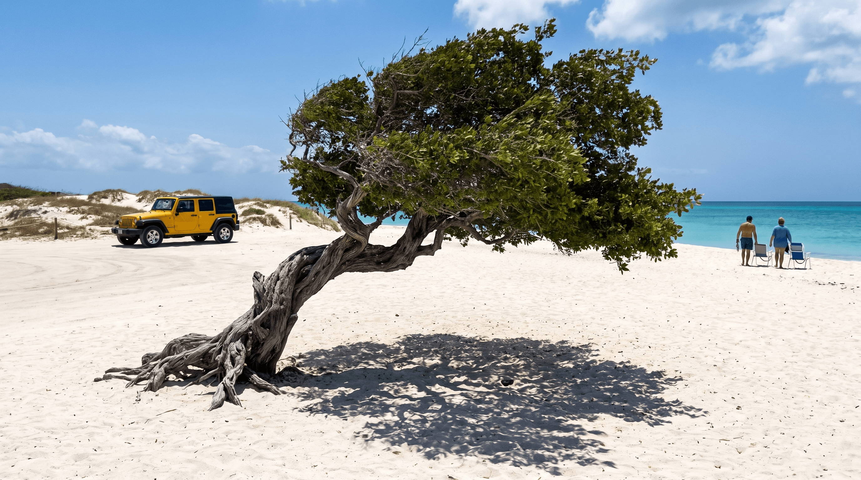 Gelber Jeep parkt am Eagle Beach auf Aruba, gebogener Fofoti-Baum im Vordergrund