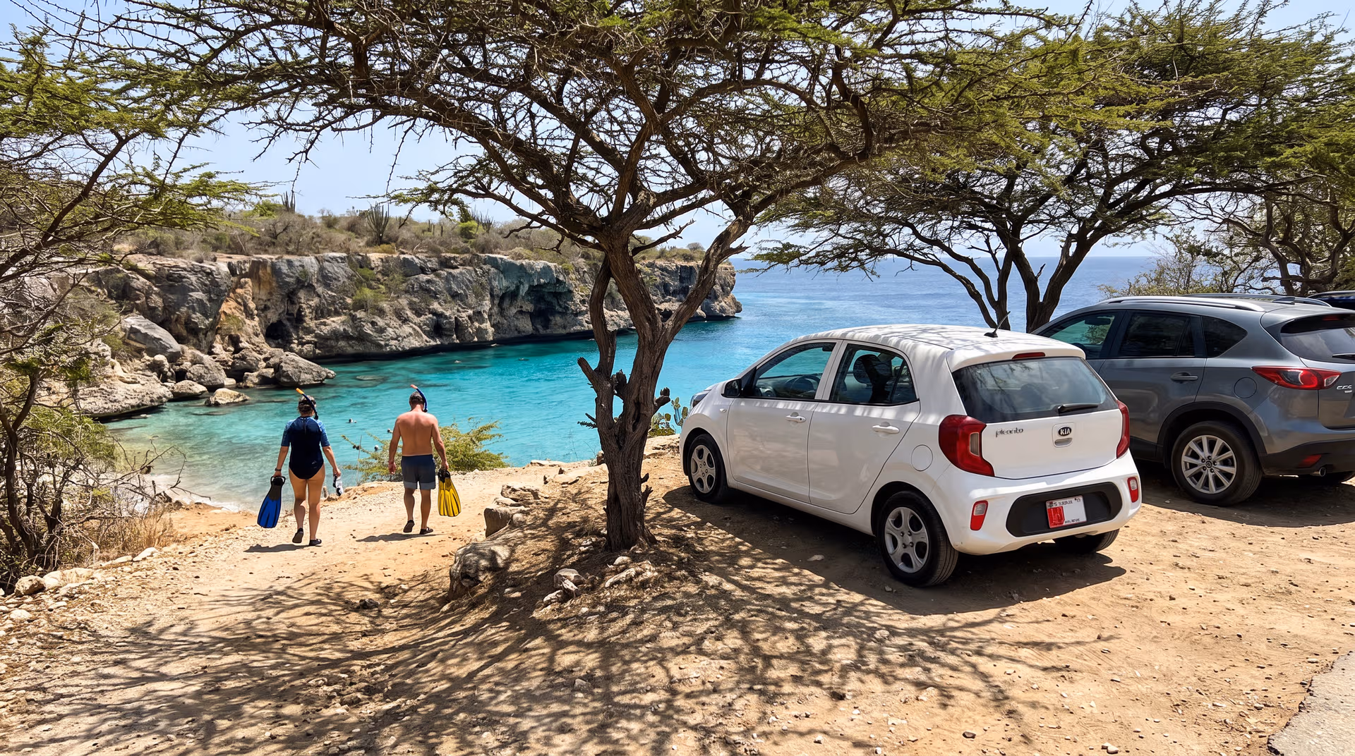 Huurauto's geparkeerd onder de bomen boven een baai aan de westkust van Curaçao