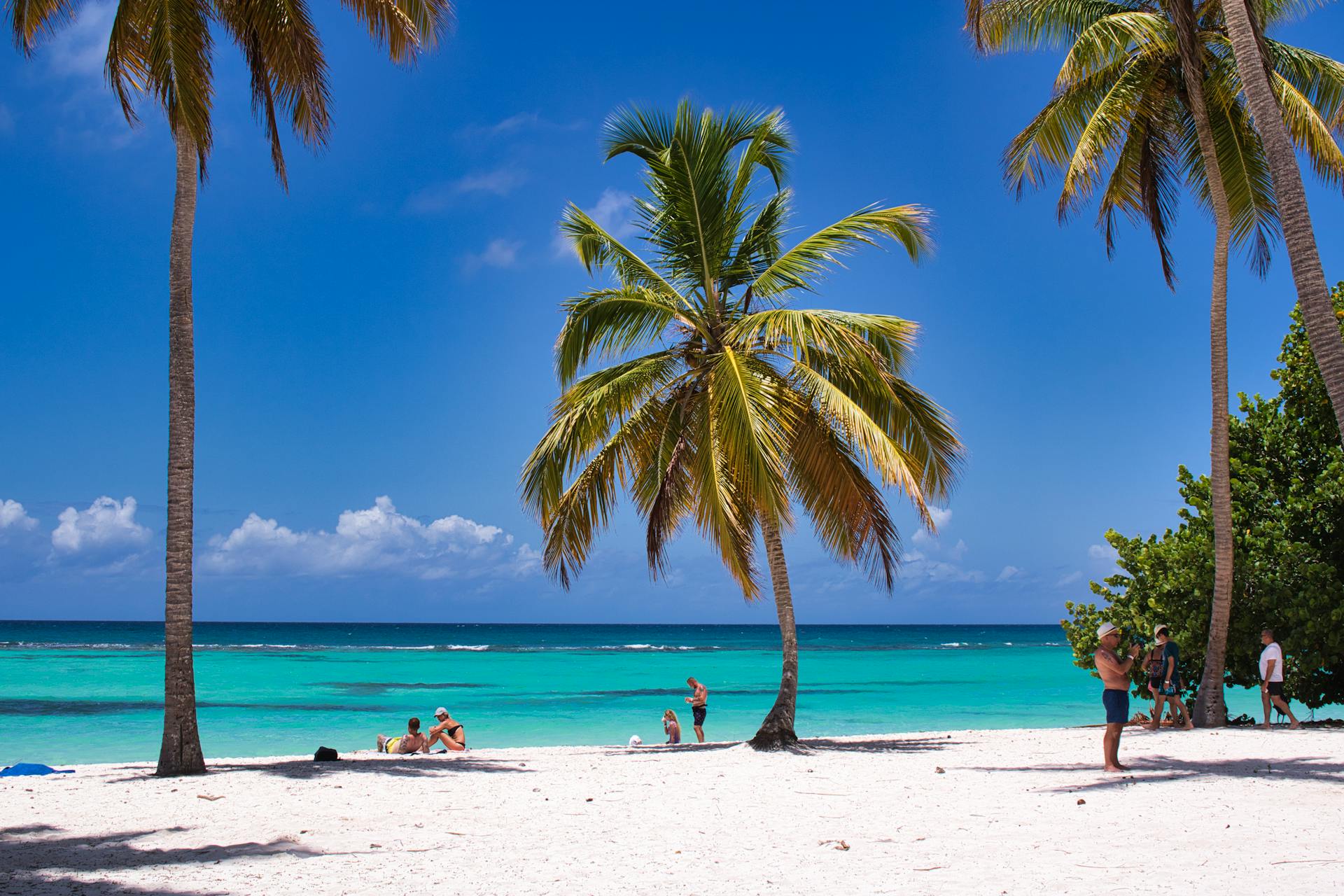 Palm beach road in Curaçao with a rental car route